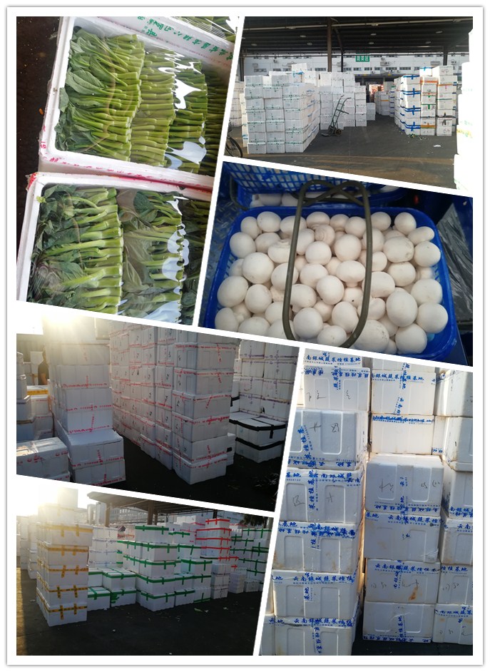 腾博会官网 - 诚信为本,专业服务!