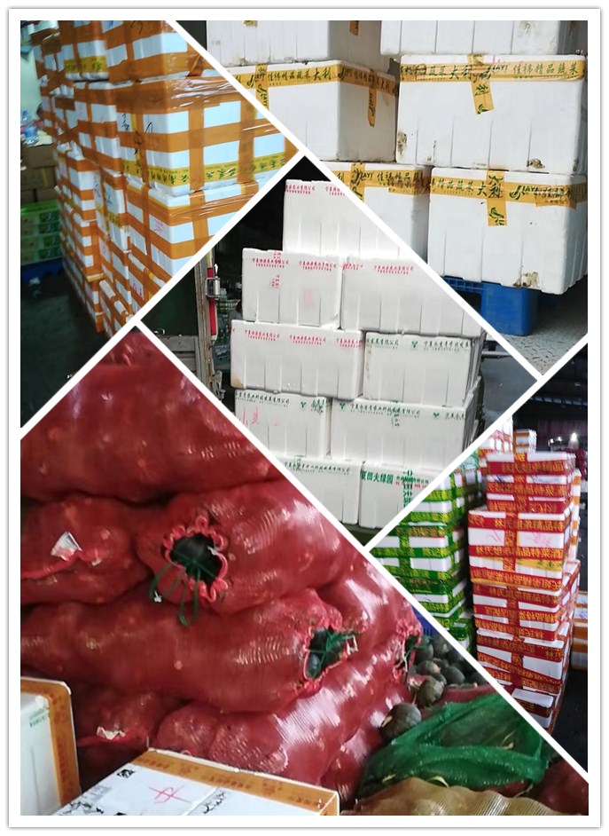 腾博会官网 - 诚信为本,专业服务!