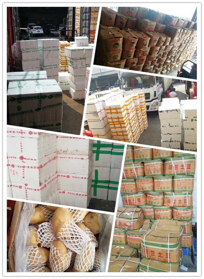 腾博会官网 - 诚信为本,专业服务!