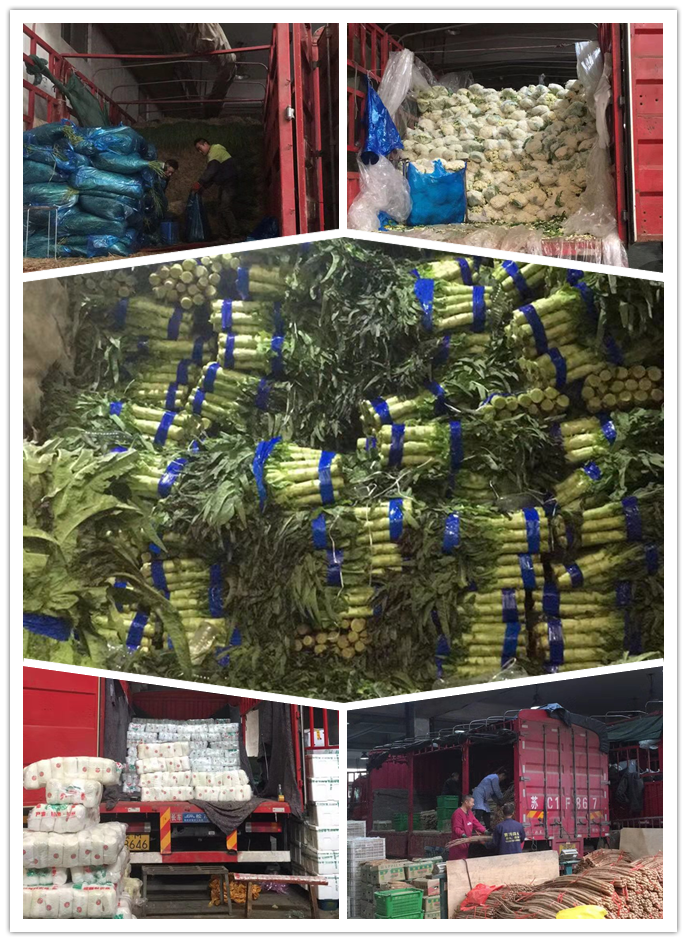 腾博会官网 - 诚信为本,专业服务!