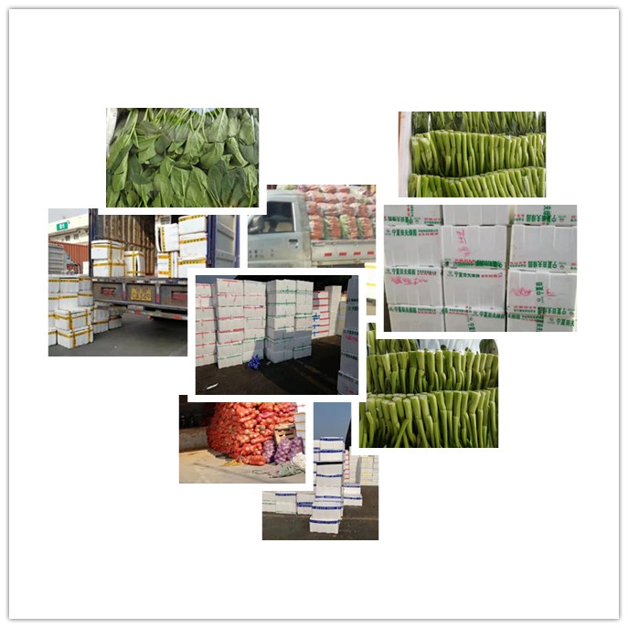 腾博会官网 - 诚信为本,专业服务!