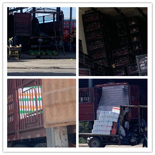 腾博会官网 - 诚信为本,专业服务!