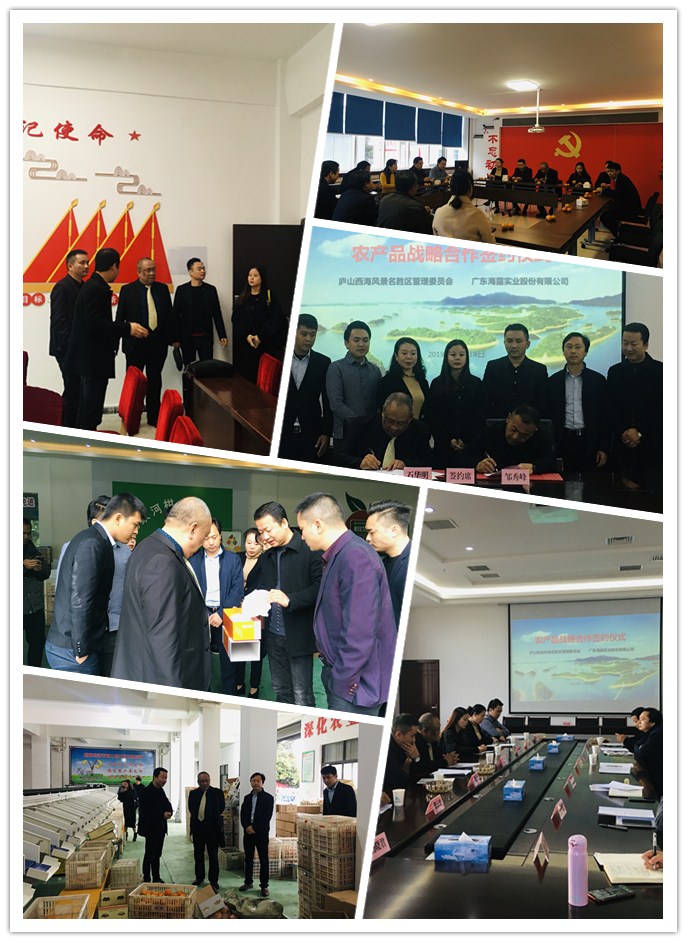 腾博会官网 - 诚信为本,专业服务!