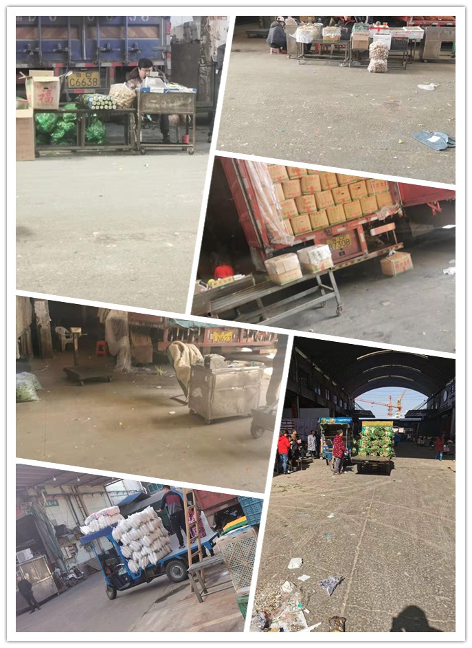 腾博会官网 - 诚信为本,专业服务!