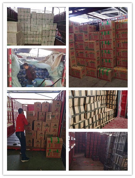 腾博会官网 - 诚信为本,专业服务!