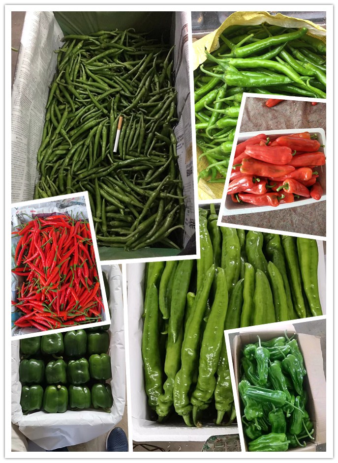 腾博会官网 - 诚信为本,专业服务!