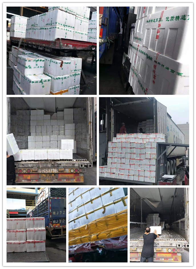 腾博会官网 - 诚信为本,专业服务!