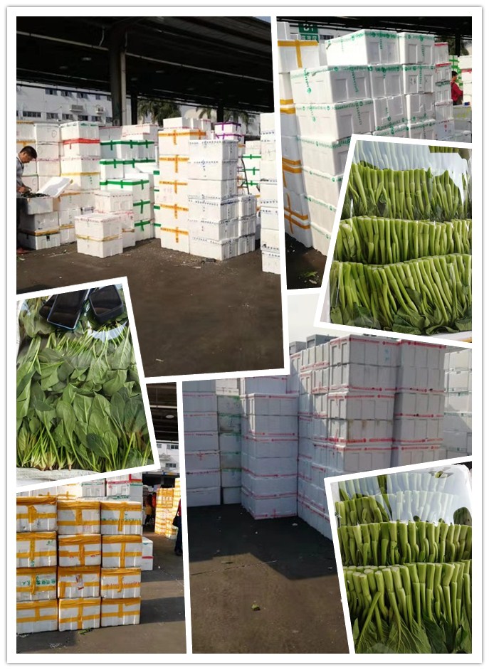 腾博会官网 - 诚信为本,专业服务!