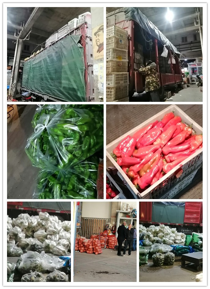 腾博会官网 - 诚信为本,专业服务!