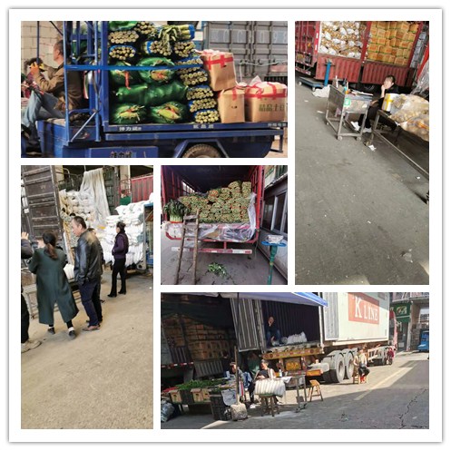 腾博会官网 - 诚信为本,专业服务!