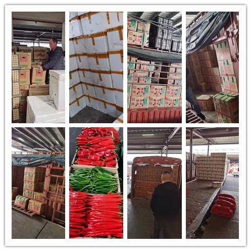 腾博会官网 - 诚信为本,专业服务!