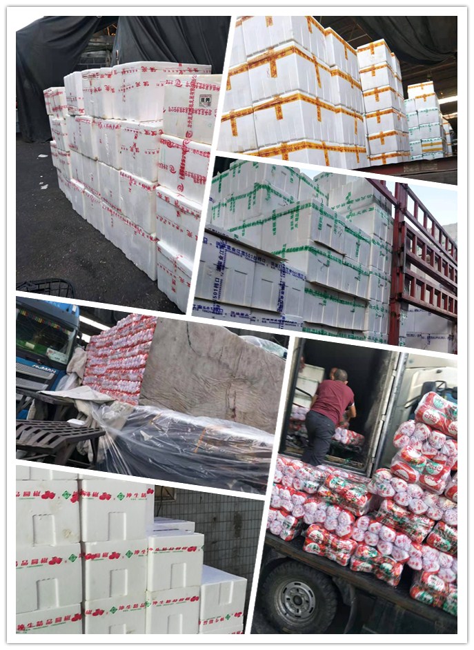 腾博会官网 - 诚信为本,专业服务!