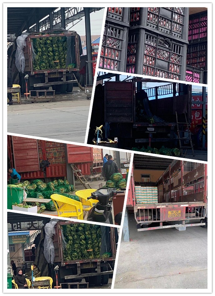 腾博会官网 - 诚信为本,专业服务!