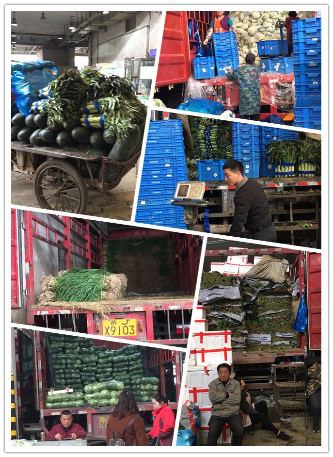 腾博会官网 - 诚信为本,专业服务!