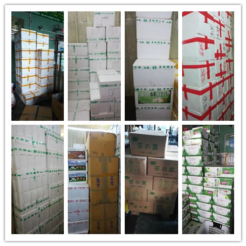 腾博会官网 - 诚信为本,专业服务!