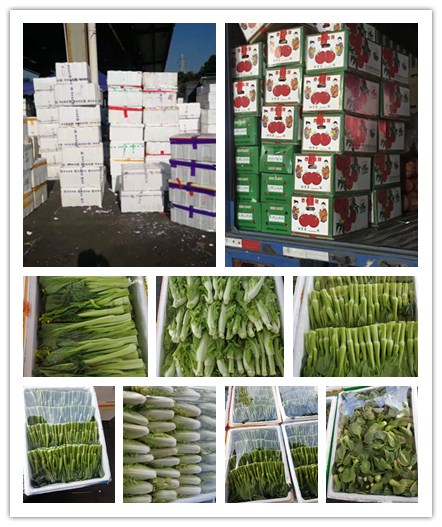 腾博会官网 - 诚信为本,专业服务!