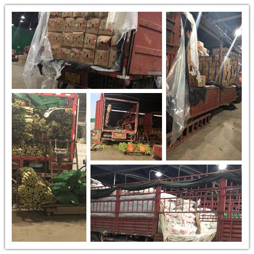 腾博会官网 - 诚信为本,专业服务!