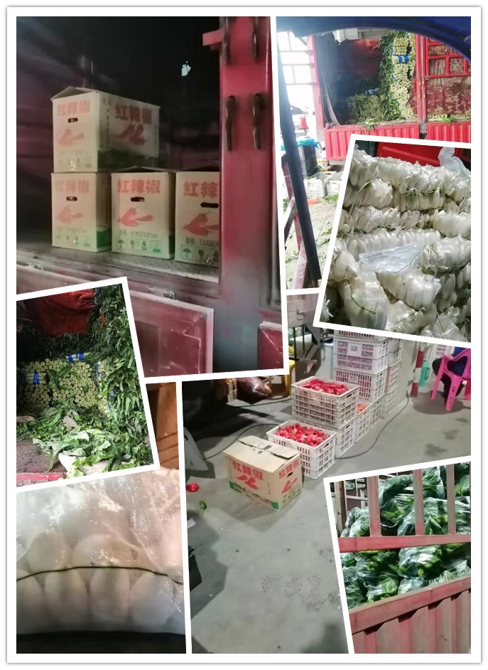 腾博会官网 - 诚信为本,专业服务!