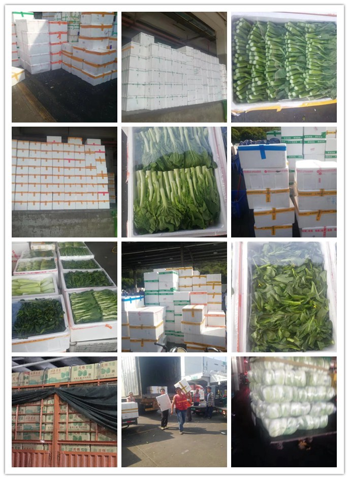 腾博会官网 - 诚信为本,专业服务!