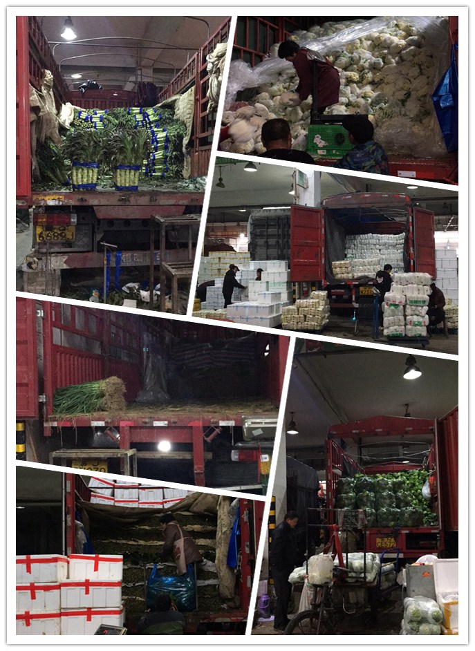 腾博会官网 - 诚信为本,专业服务!