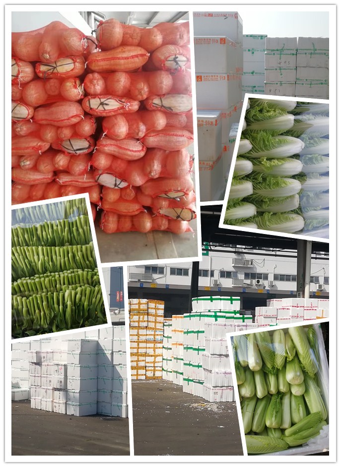 腾博会官网 - 诚信为本,专业服务!