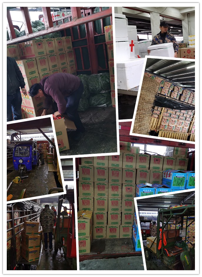 腾博会官网 - 诚信为本,专业服务!