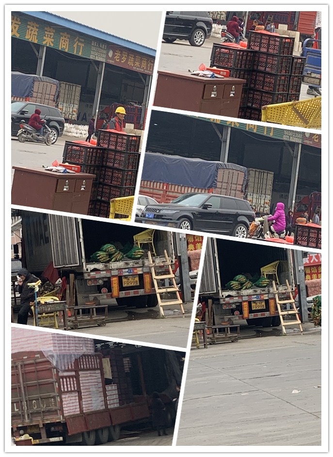 腾博会官网 - 诚信为本,专业服务!