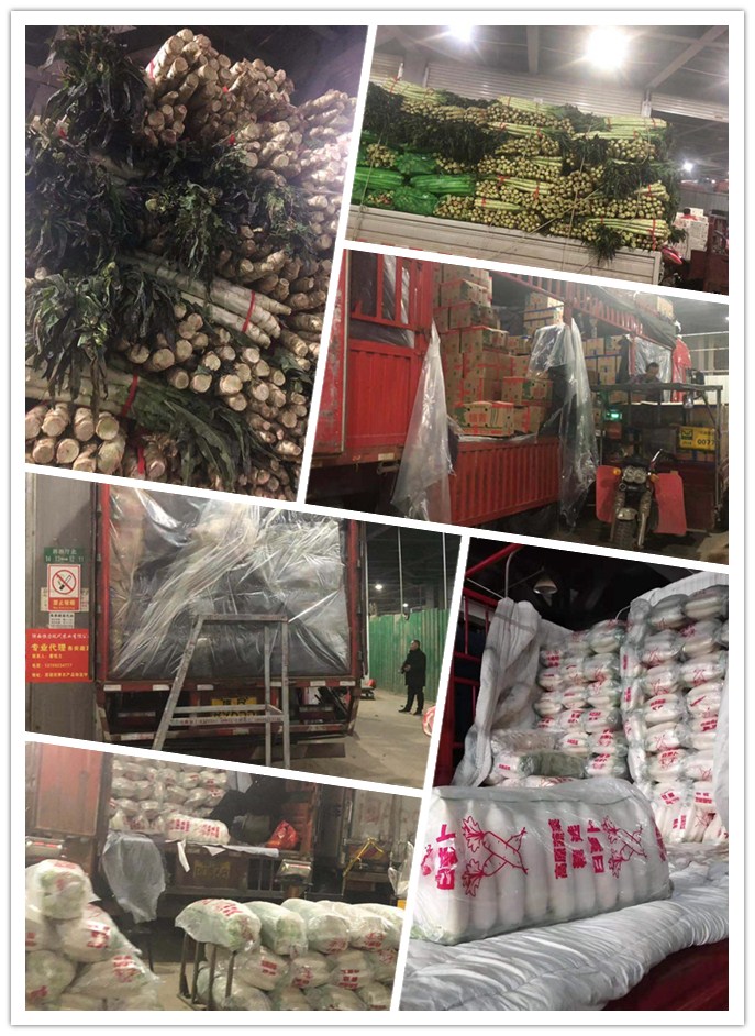 腾博会官网 - 诚信为本,专业服务!