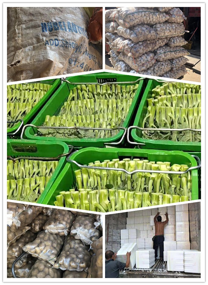 腾博会官网 - 诚信为本,专业服务!