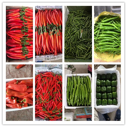 腾博会官网 - 诚信为本,专业服务!