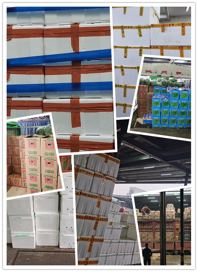 腾博会官网 - 诚信为本,专业服务!