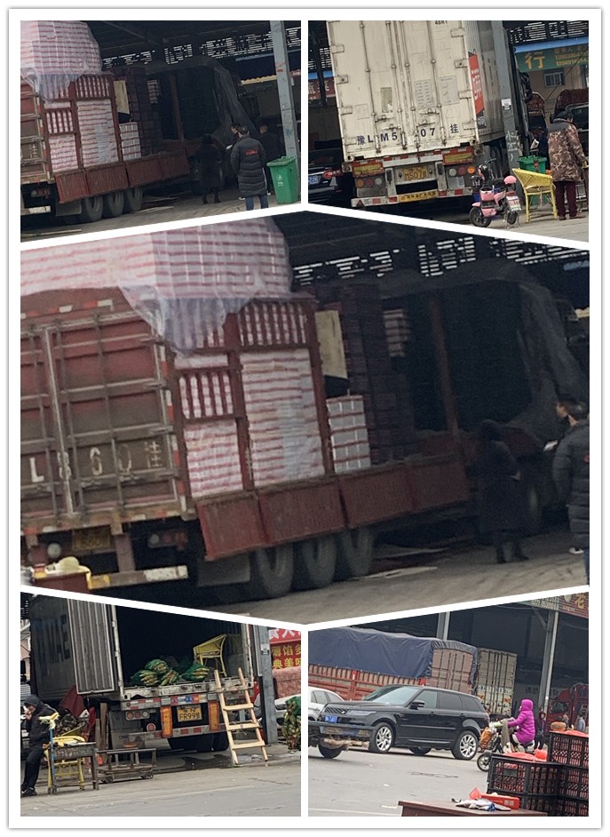 腾博会官网 - 诚信为本,专业服务!