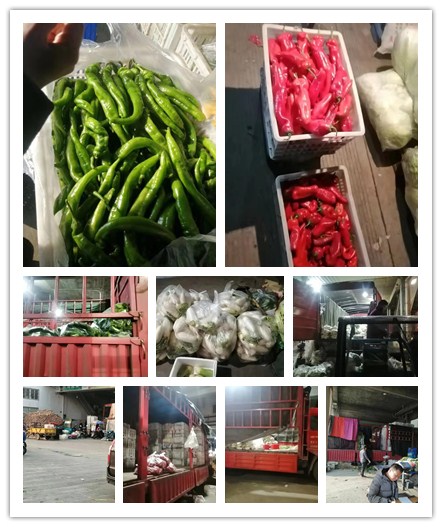 腾博会官网 - 诚信为本,专业服务!