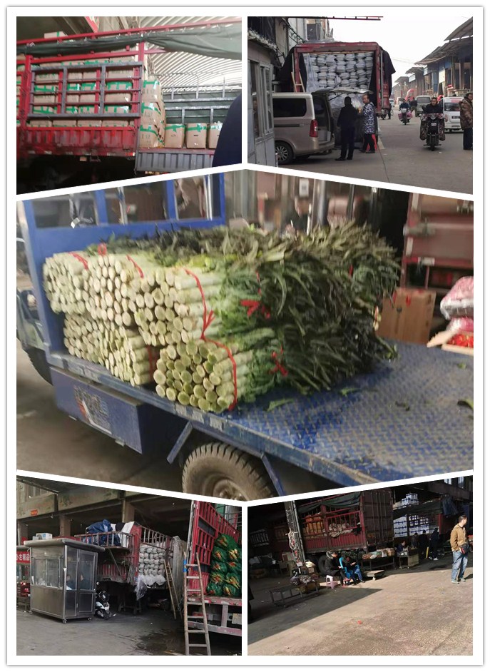 腾博会官网 - 诚信为本,专业服务!