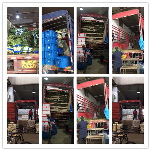 腾博会官网 - 诚信为本,专业服务!