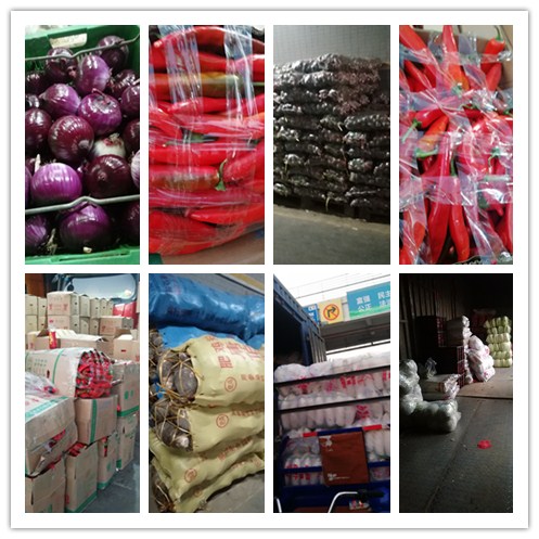 腾博会官网 - 诚信为本,专业服务!