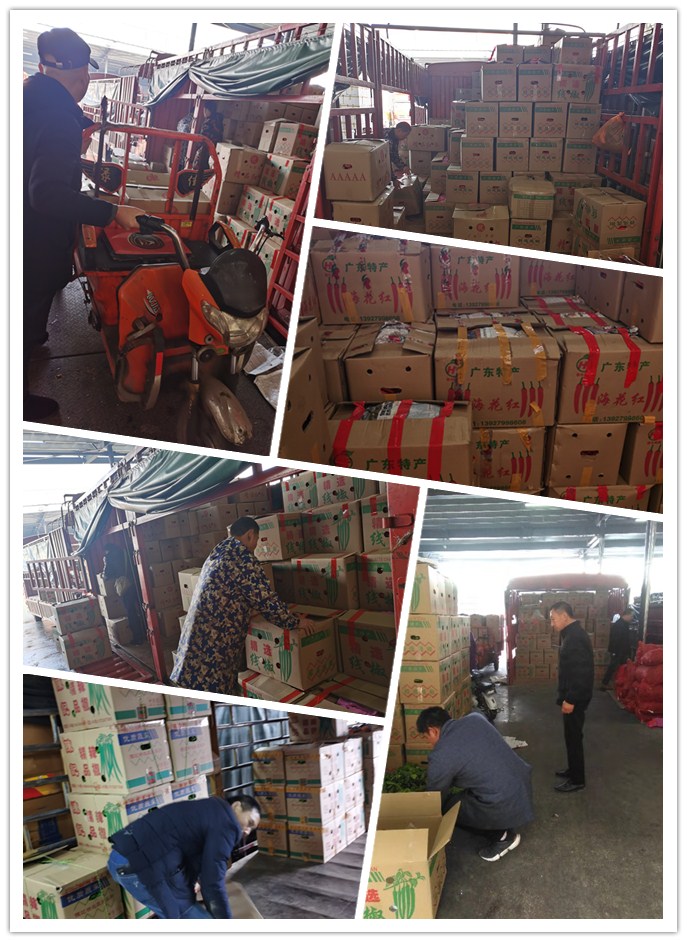 腾博会官网 - 诚信为本,专业服务!