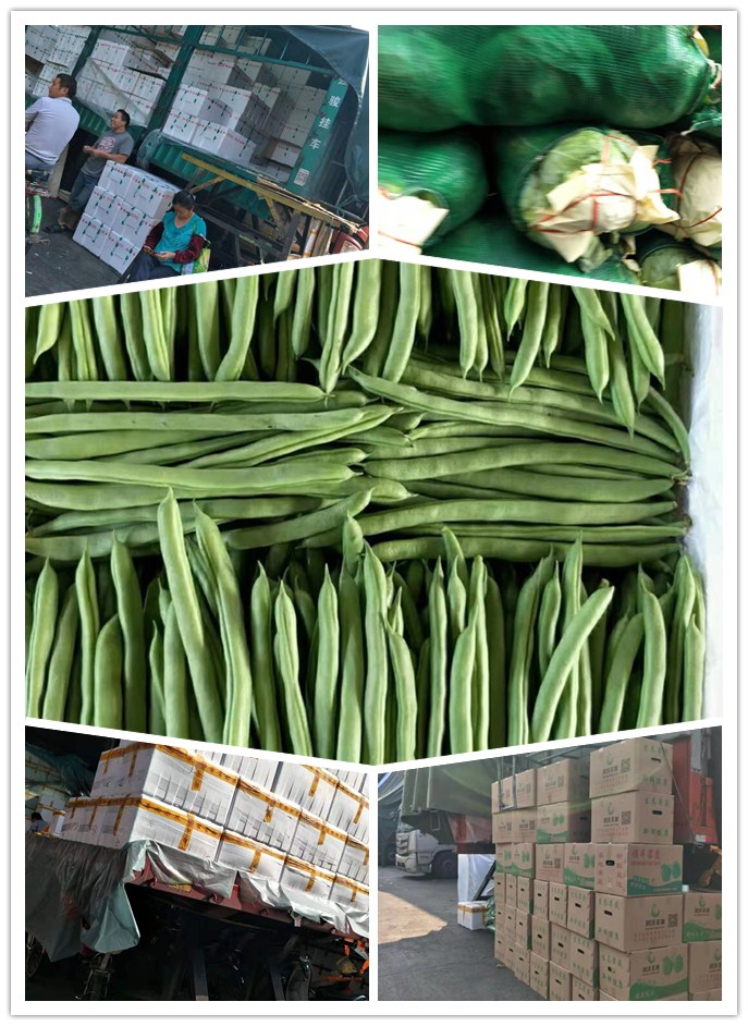 腾博会官网 - 诚信为本,专业服务!