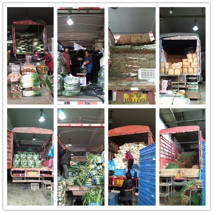 腾博会官网 - 诚信为本,专业服务!