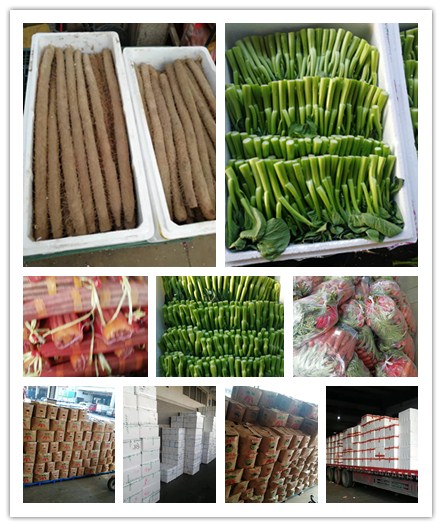 腾博会官网 - 诚信为本,专业服务!