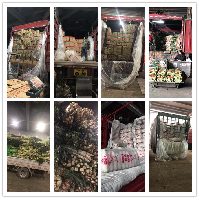 腾博会官网 - 诚信为本,专业服务!