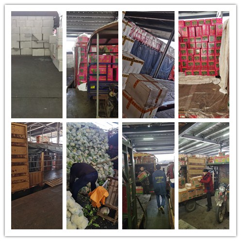 腾博会官网 - 诚信为本,专业服务!