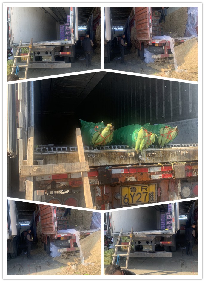 腾博会官网 - 诚信为本,专业服务!