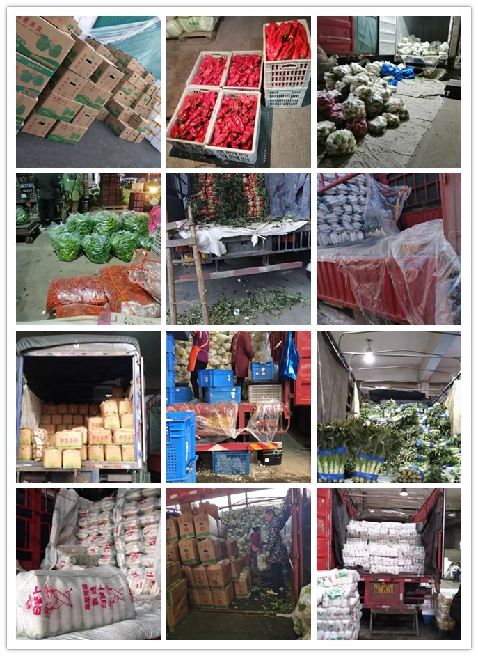 腾博会官网 - 诚信为本,专业服务!