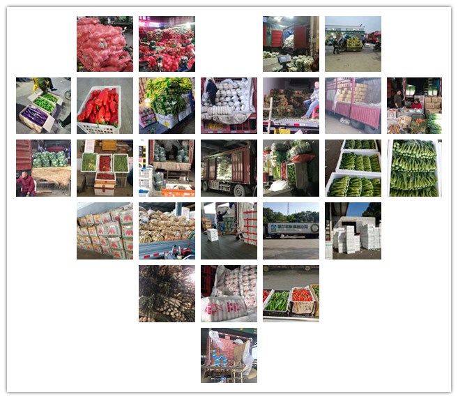 腾博会官网 - 诚信为本,专业服务!