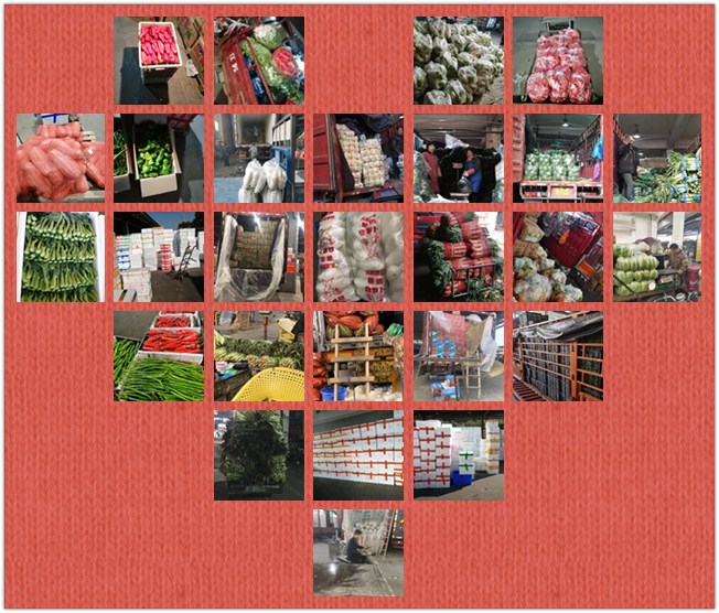 腾博会官网 - 诚信为本,专业服务!