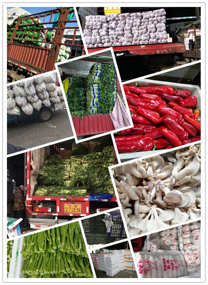 腾博会官网 - 诚信为本,专业服务!