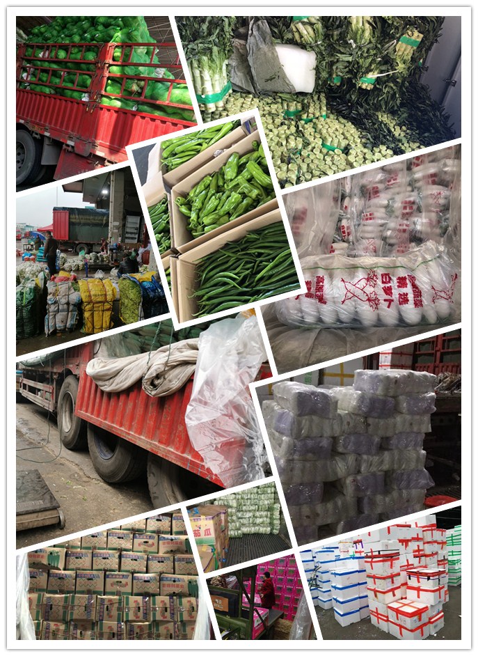 腾博会官网 - 诚信为本,专业服务!