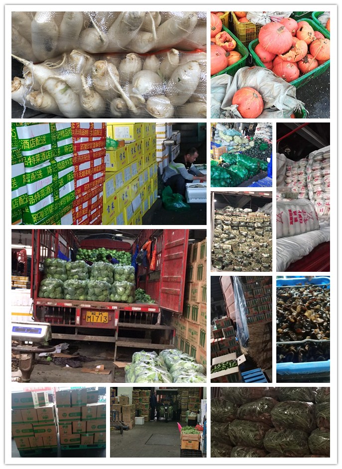 腾博会官网 - 诚信为本,专业服务!