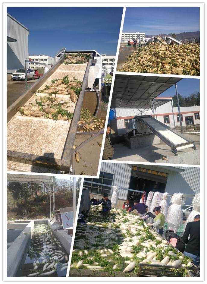 腾博会官网 - 诚信为本,专业服务!